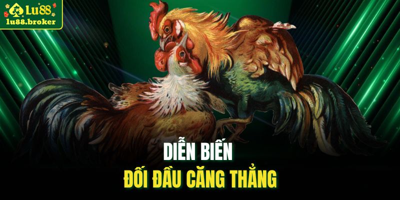Diễn biến đối đầu căng thẳng